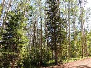 Picture of Lot #10 Wapiti River SW-21-69-10-W6 , Rural Grande Prairie No. 1, County of Real Estate Listing