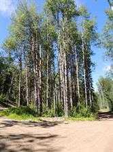 Picture of Lot #7 Wapiti River SW-21-69-10-W6 , Rural Grande Prairie No. 1, County of Real Estate Listing
