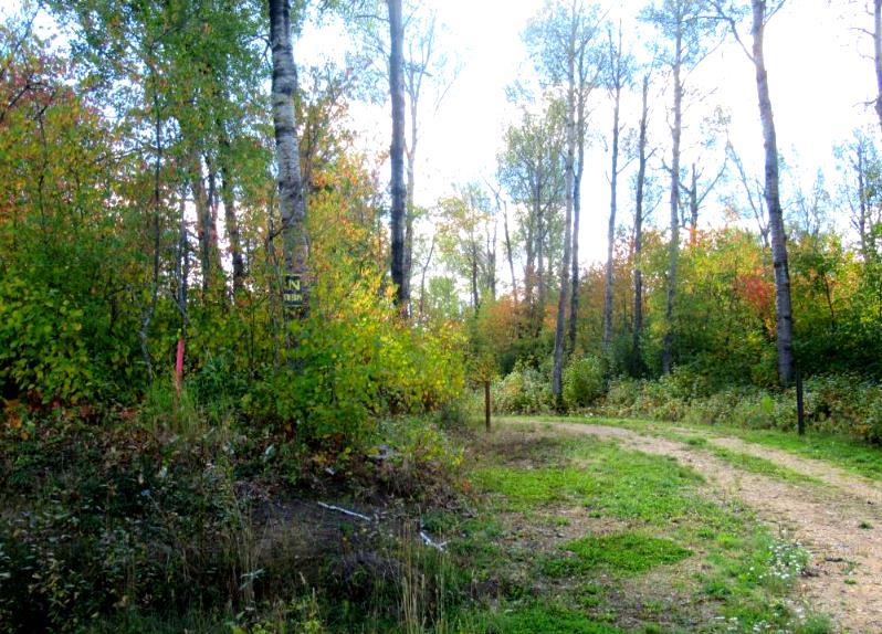 Picture of 1520018 - 1 - 1 Poplar Point , Rural Lac La Biche County Real Estate Listing
