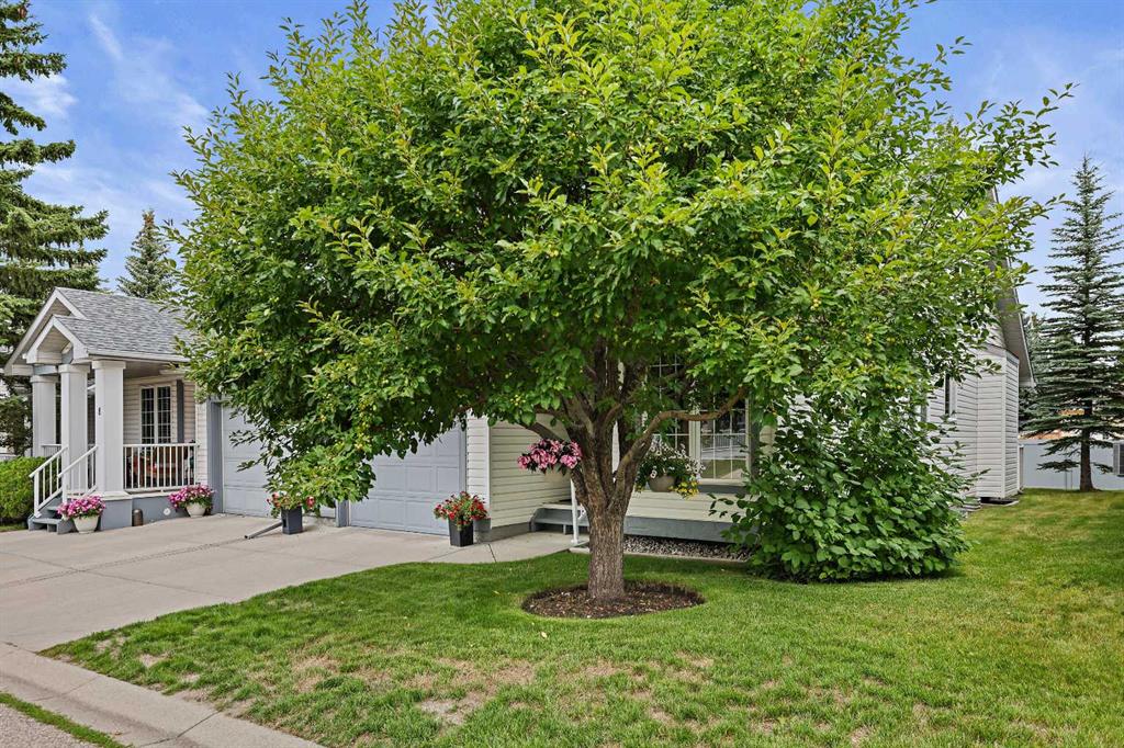 Picture of 10 Douglasview Park SE, Calgary Real Estate Listing