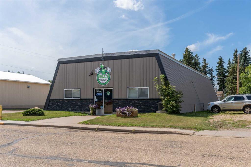 Picture of 4901 48 Street , Sedgewick Real Estate Listing