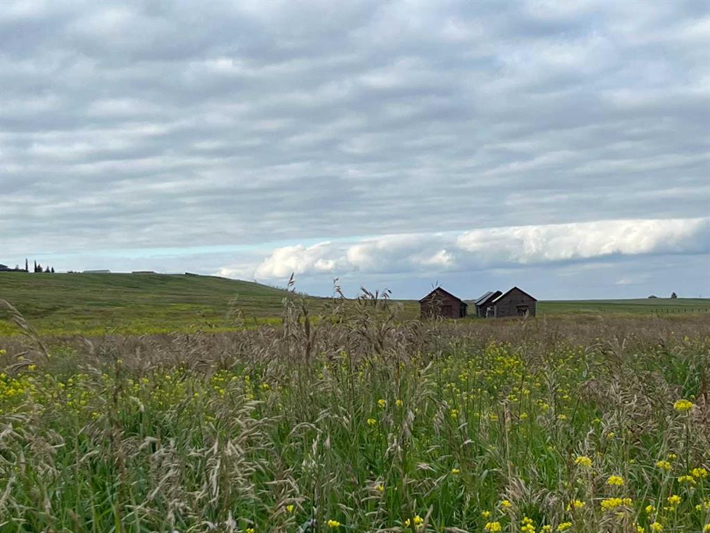 Picture of 402 Avenue W, Rural Foothills County Real Estate Listing
