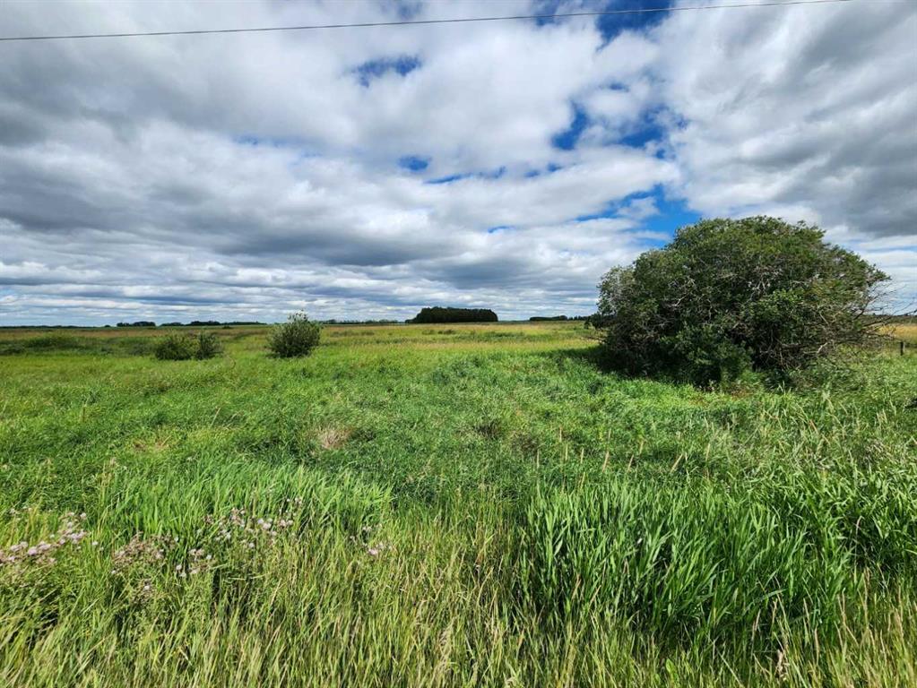 Picture of Range Road 284 South  , Rural Red Deer County Real Estate Listing