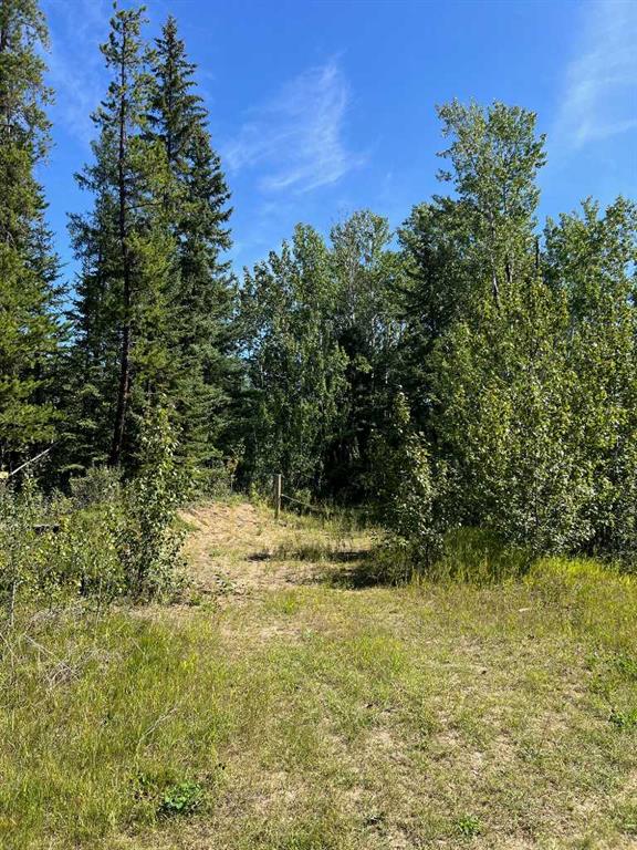 Picture of SW-21-70-6-W6  , Rural Grande Prairie No. 1, County of Real Estate Listing