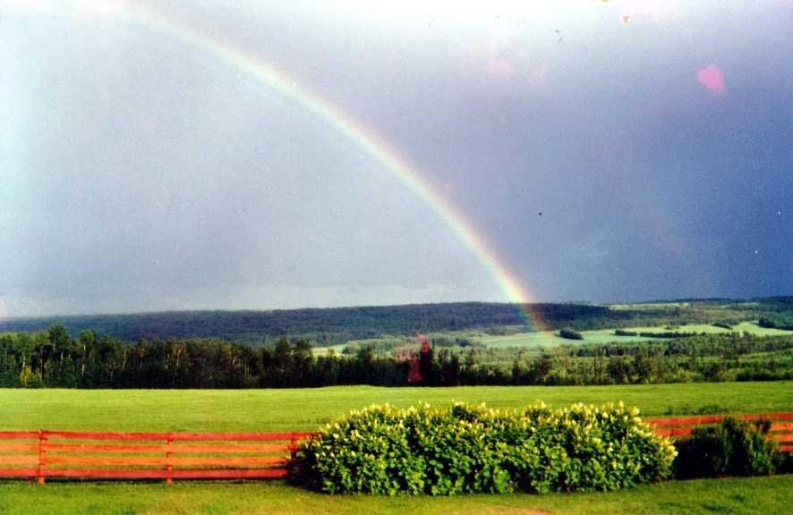 Picture of 642079 Range Road 231  , Rural Athabasca County Real Estate Listing