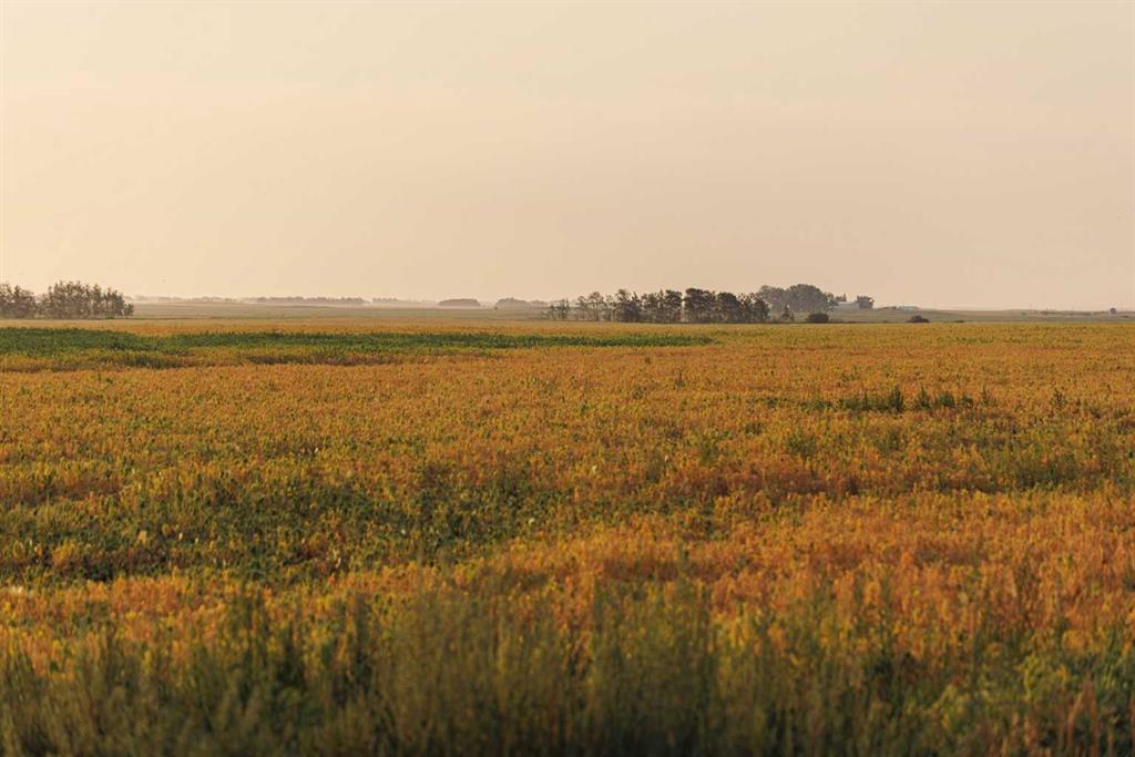 Picture of Parcel 9 Range Road 271 just south of Highway 9  , Rural Rocky View County Real Estate Listing