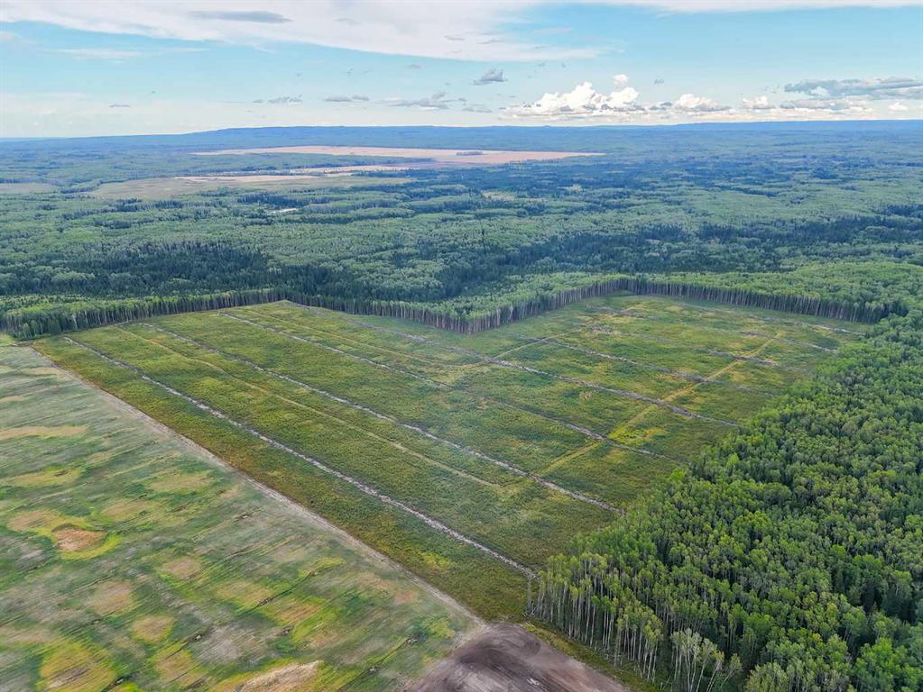 Picture of NE-21-101-17-W5  , Rural Mackenzie County Real Estate Listing