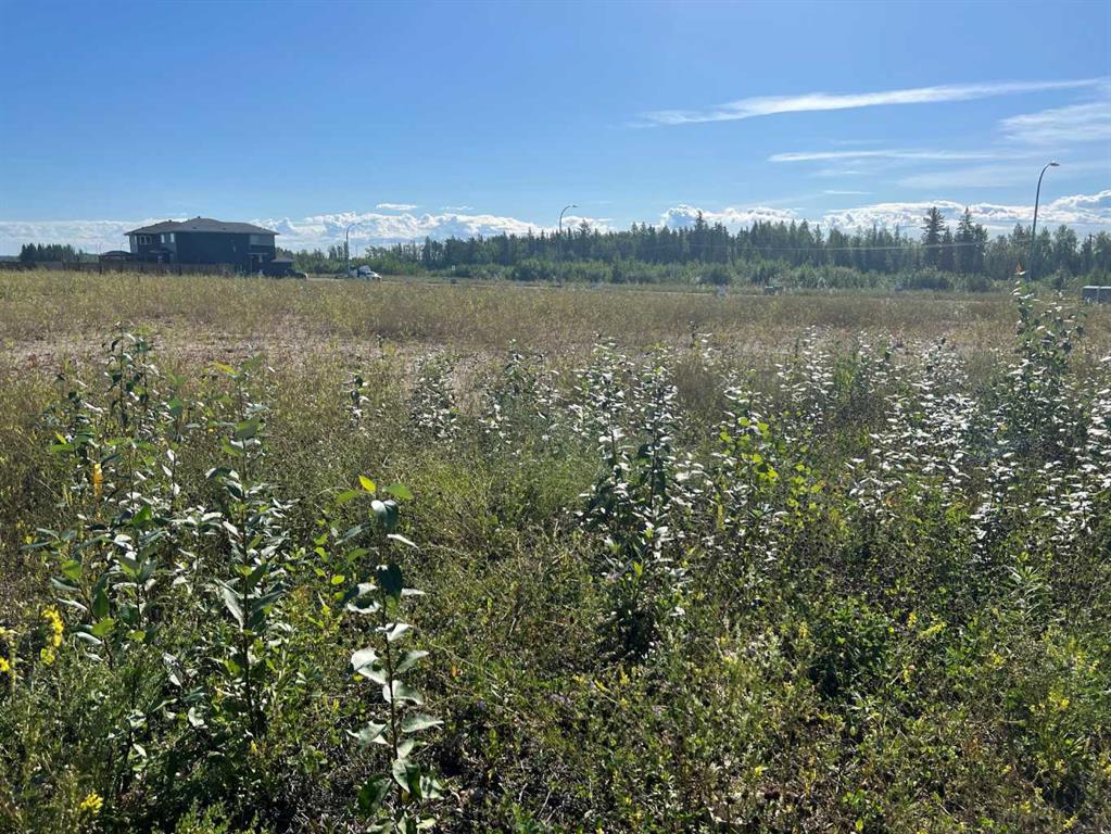 Picture of 109 Dwyer Close , Fort McMurray Real Estate Listing