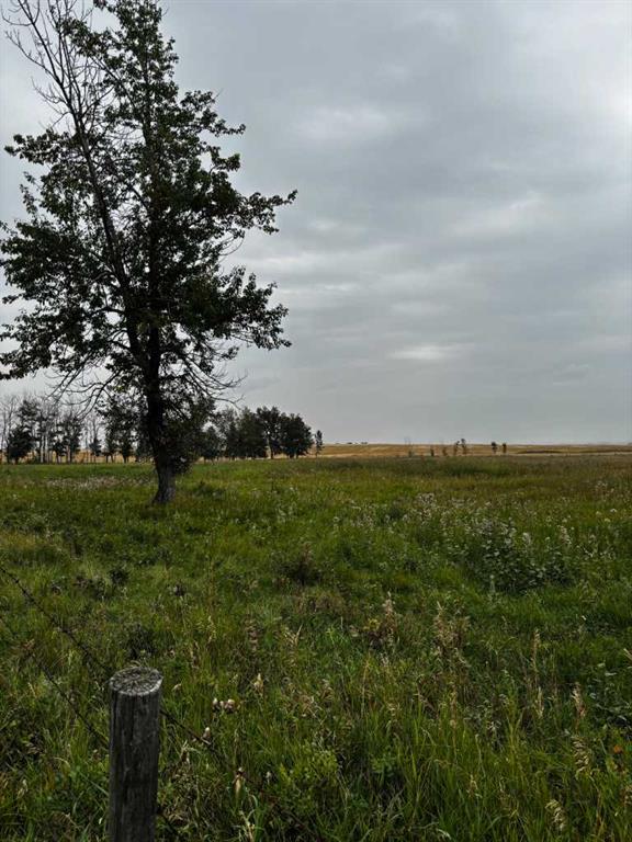 Picture of 000 547  , Aldersyde Real Estate Listing
