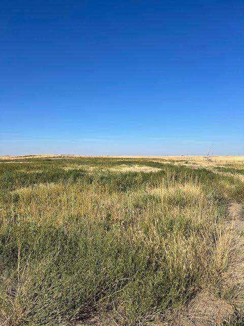 Picture of 11005 Eagle Butte Rd  , Dunmore Real Estate Listing