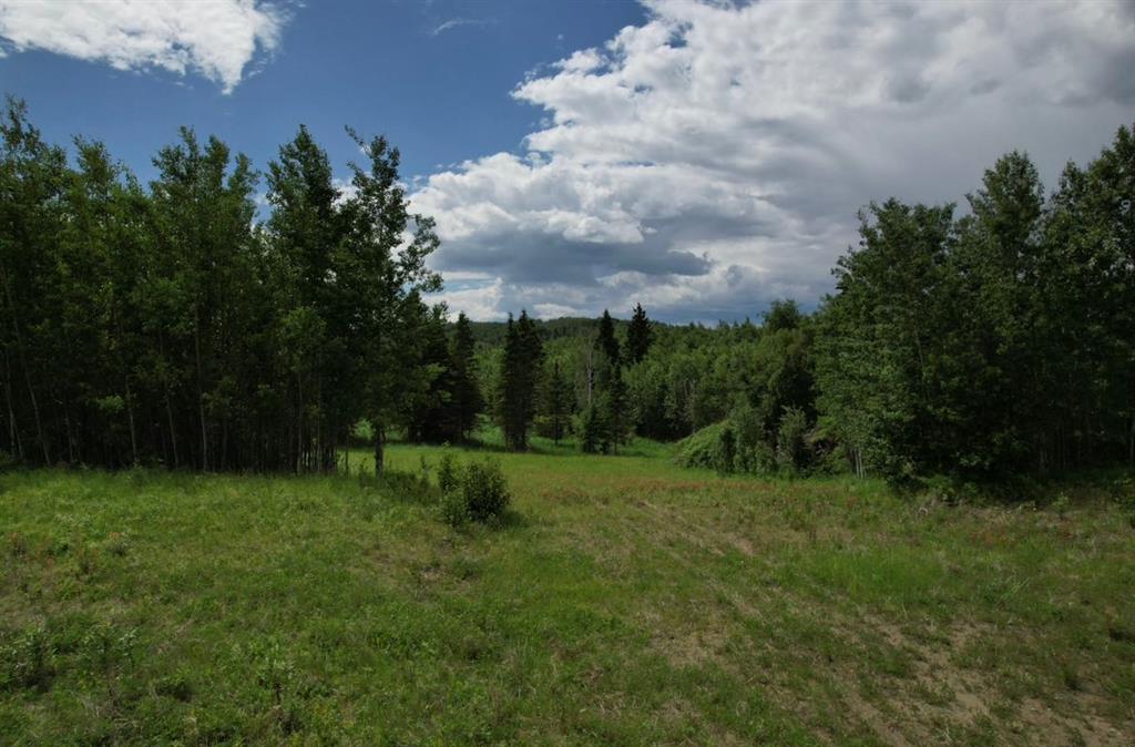 Picture of 19 Mountain Springs  , Rural Woodlands County Real Estate Listing