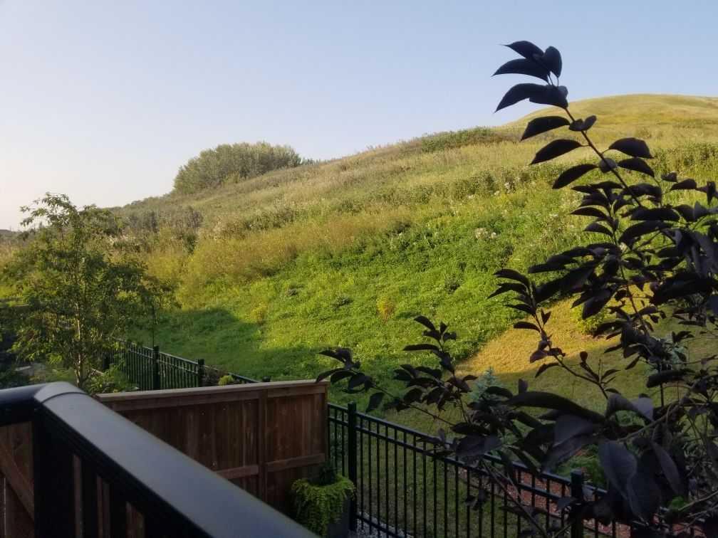 Picture of 214 Cranbrook Square SE, Calgary Real Estate Listing