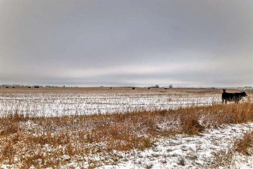 Picture of Range Road 241  , Rural Wheatland County Real Estate Listing