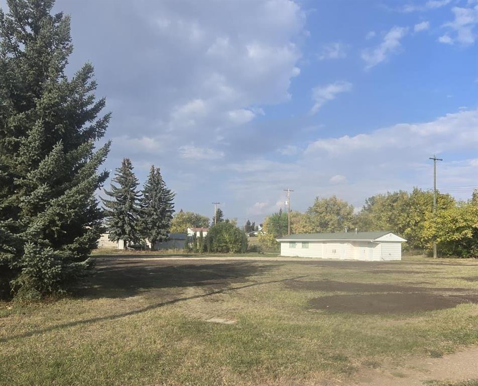 Picture of 4910 48 Street , Sedgewick Real Estate Listing