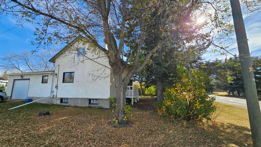 Picture of 4529 44 Street , Castor Real Estate Listing