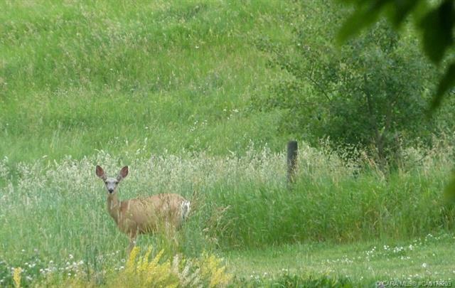 Picture of 13, 420069 Range Road 284  , Rural Ponoka County Real Estate Listing