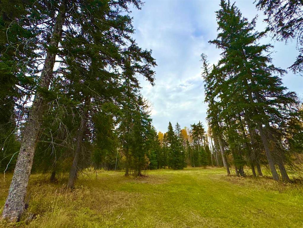 Picture of 201 High Timber Place , Rural Clearwater County Real Estate Listing