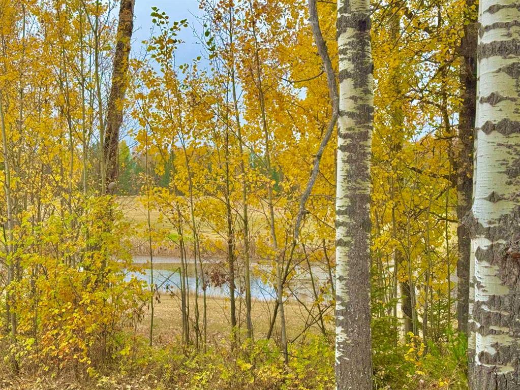 Picture of 417 Valley View Close , Rural Clearwater County Real Estate Listing