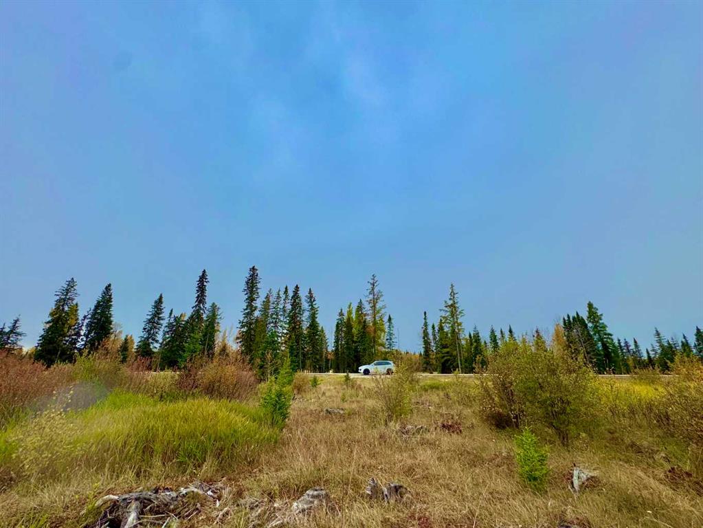 Picture of 408 Valley View Close , Rural Clearwater County Real Estate Listing