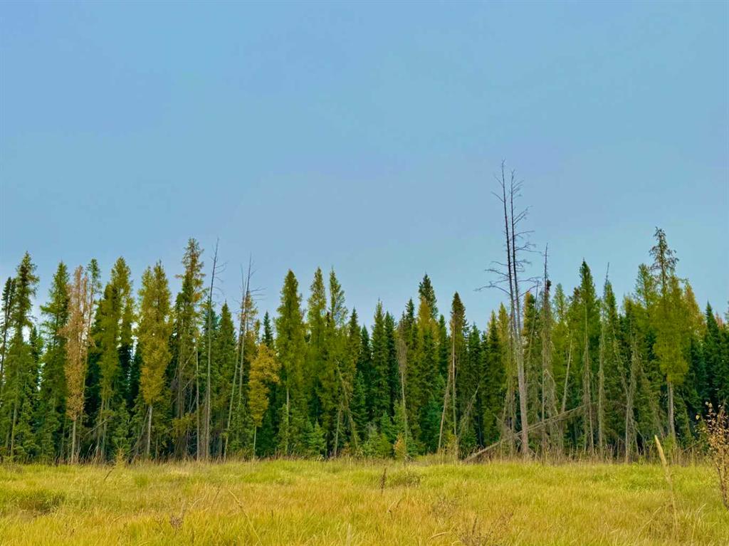 Picture of 400 Valley View Close , Rural Clearwater County Real Estate Listing