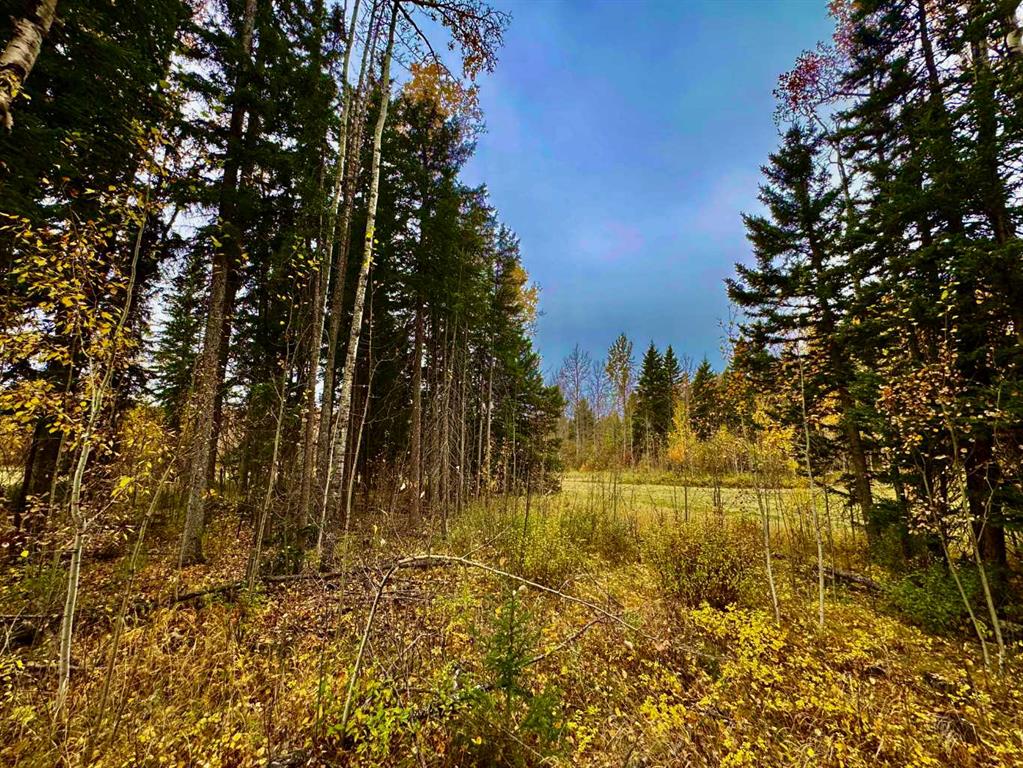 Picture of 301 Valley View Drive , Rural Clearwater County Real Estate Listing