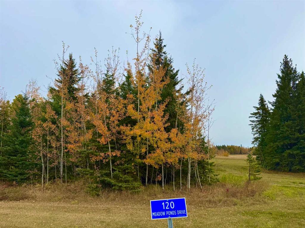 Picture of 120 Meadow Ponds Drive , Rural Clearwater County Real Estate Listing