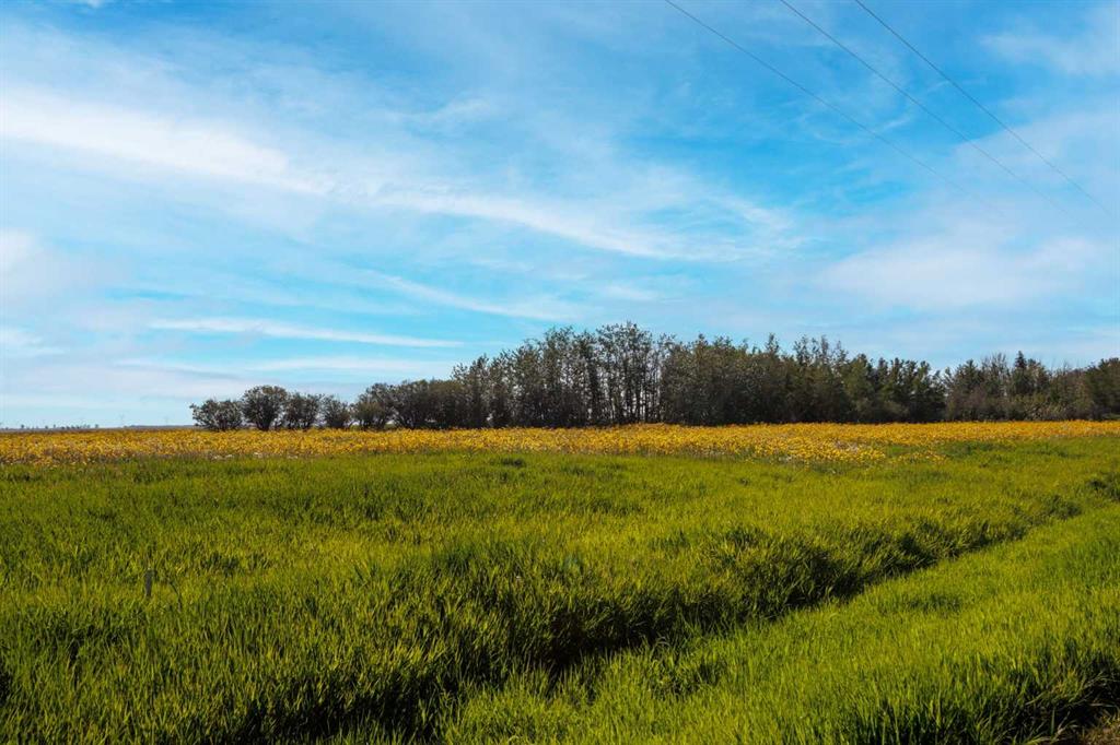 Picture of RGE RD 292  , Rural Rocky View County Real Estate Listing