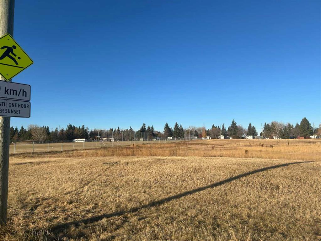 Picture of 711 11 Avenue NE  , Three Hills Real Estate Listing