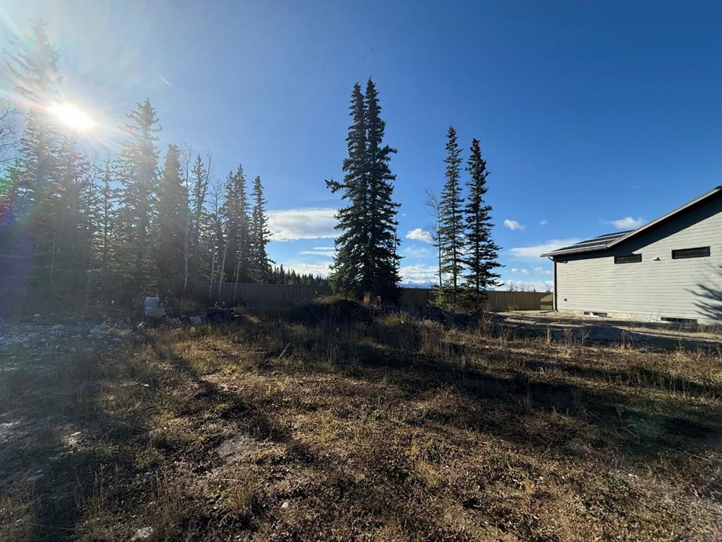 Picture of 184 TRESTLE Place , Hinton Real Estate Listing