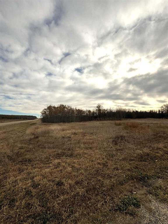 Picture of 1, 15015 Township Road 424 Township , Rural Ponoka County Real Estate Listing