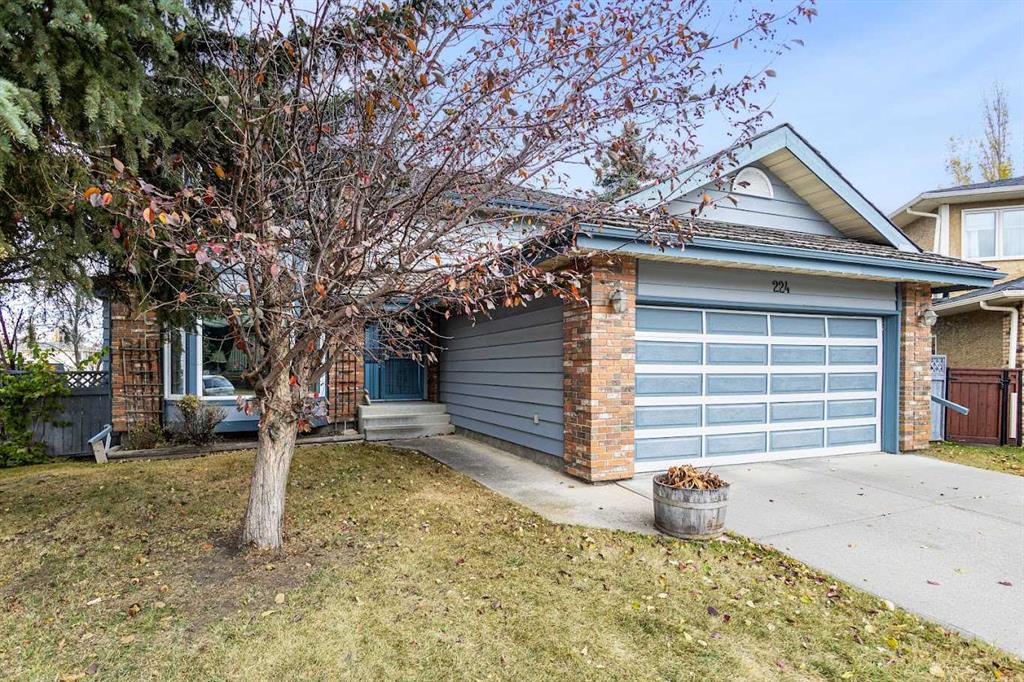 Picture of 224 Douglas Woods Point SE, Calgary Real Estate Listing
