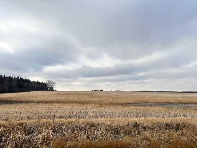 Picture of NE 6 47 17 W4  , Rural Camrose County Real Estate Listing