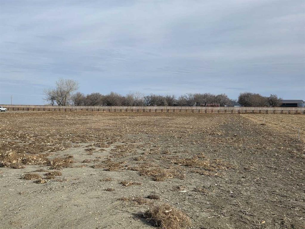 Picture of 205 Naismith Street , Chin Real Estate Listing