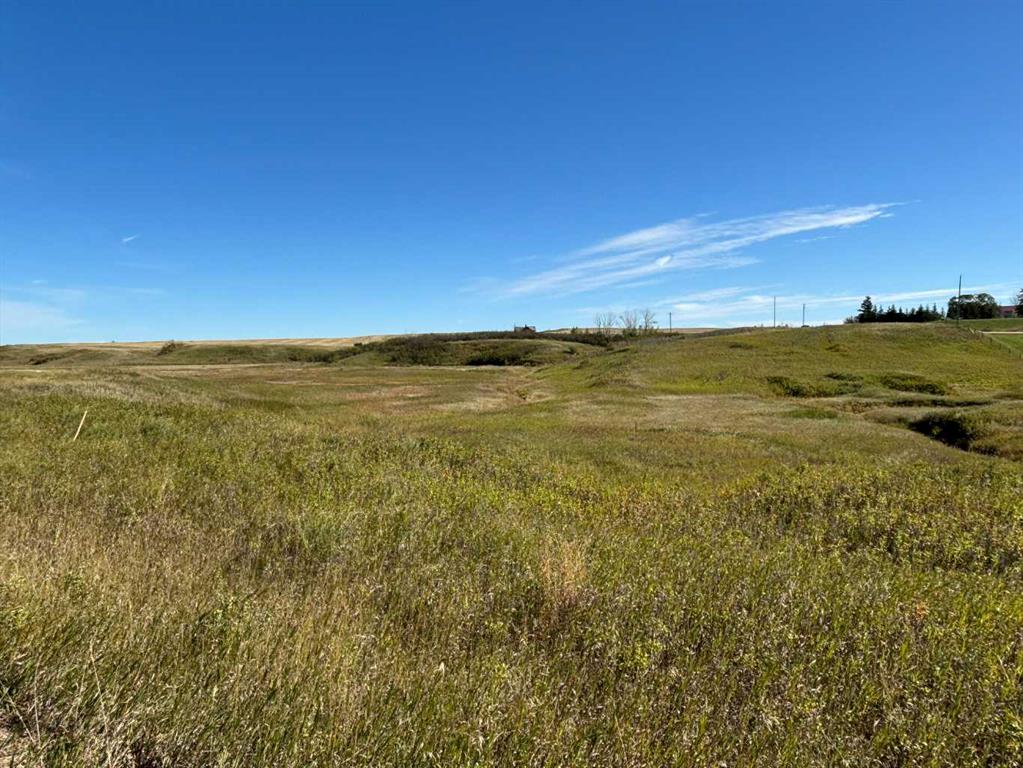 Picture of Hwy 9 RR 19-5A , Rural Starland County Real Estate Listing