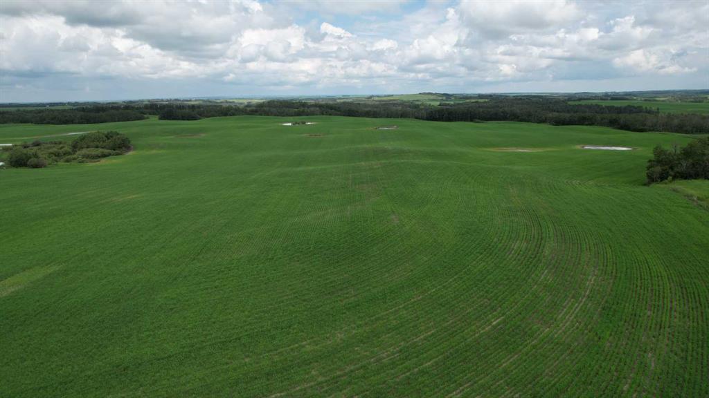 Picture of NE 23-53-13-W4 & SE 23-53-13-W4 , Rural Two Hills No. 21, County of Real Estate Listing