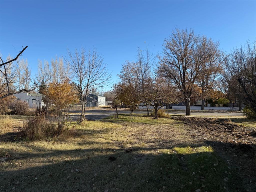 Picture of 410 Grand Avenue , Carmangay Real Estate Listing