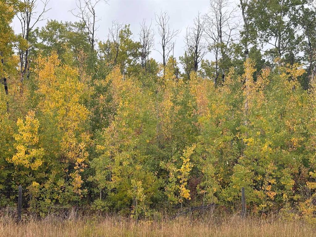 Picture of 12 Foot Davis Road  , Rural Northern Sunrise County Real Estate Listing