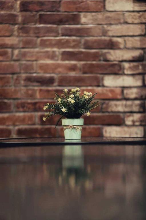 Picture of 123 Calgary Street SE, Calgary Real Estate Listing