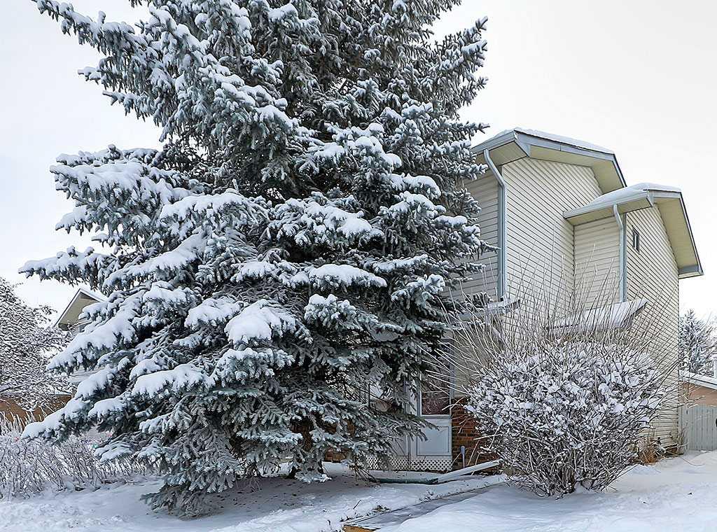 Picture of 32 Sheppard Road SW, High River Real Estate Listing