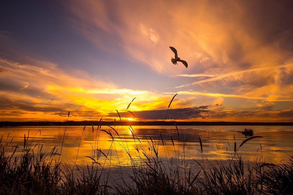 Picture of 0 Old Trail , Rural Lac La Biche County Real Estate Listing