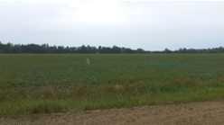 Picture of 5709 53 Avenue , High Prairie Real Estate Listing