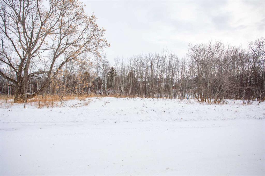 Picture of 5219 50 Street , Mirror Real Estate Listing