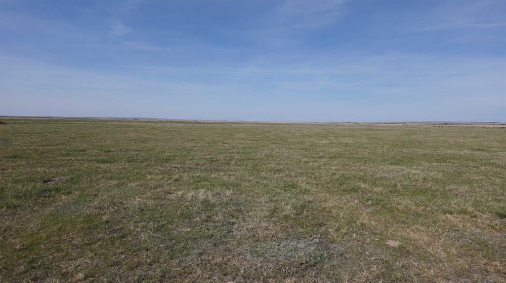Picture of Vulcan county  , Rural Vulcan County Real Estate Listing