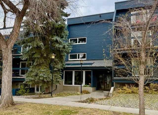 Picture of 203, 234 5 Avenue NE, Calgary Real Estate Listing