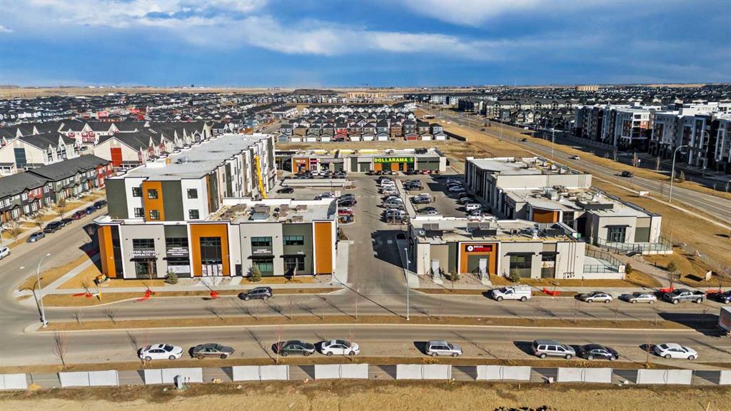 Picture of 1150, 235 Red Embers Way NE, Calgary Real Estate Listing