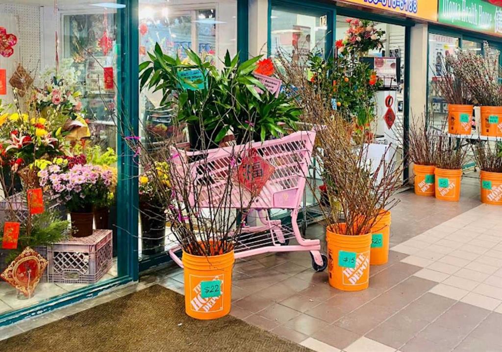 Picture of 12, 132 3 Avenue SE, Calgary Real Estate Listing