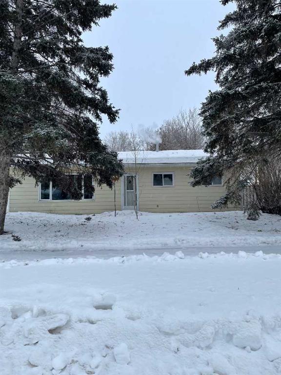 Picture of 10307 102 Street , High Level Real Estate Listing