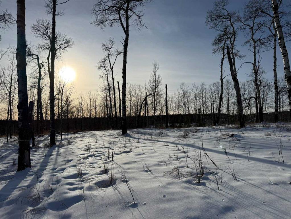 Picture of 3, 5228 Highway 579  , Rural Mountain View County Real Estate Listing