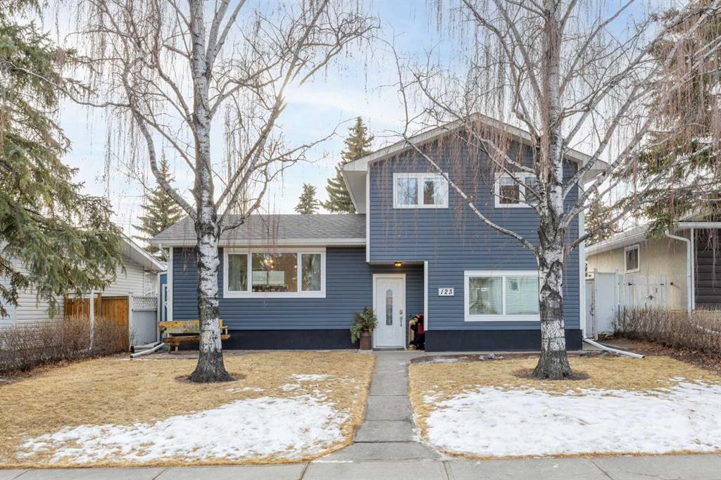 Picture of 123 Sackville Drive SW, Calgary Real Estate Listing