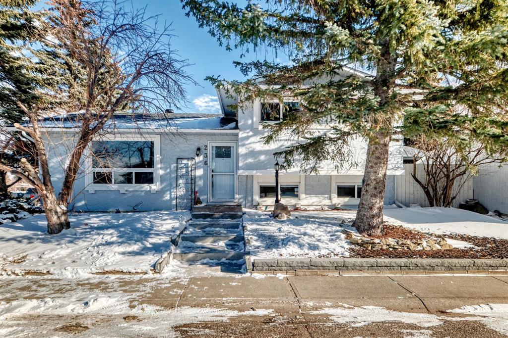 Picture of 236 Pinecliff Way NE, Calgary Real Estate Listing